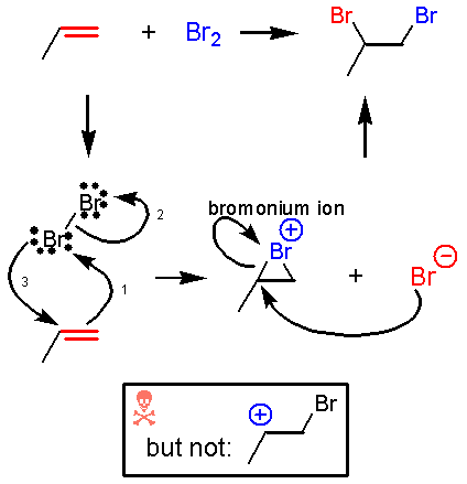 alkene   br2